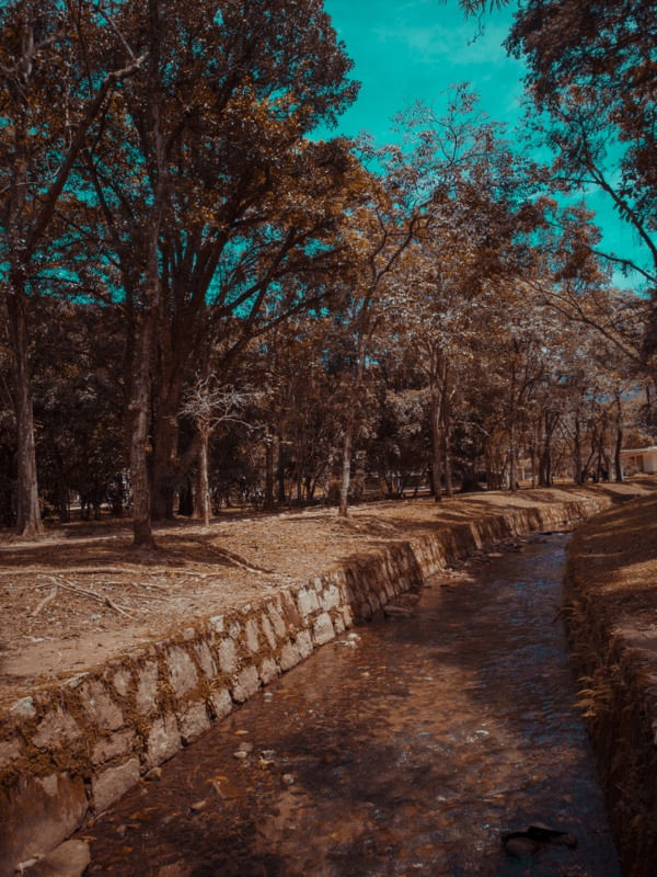 PAISAGEM DE OUTONO I
