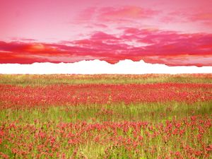 LOST HORIZON 25A