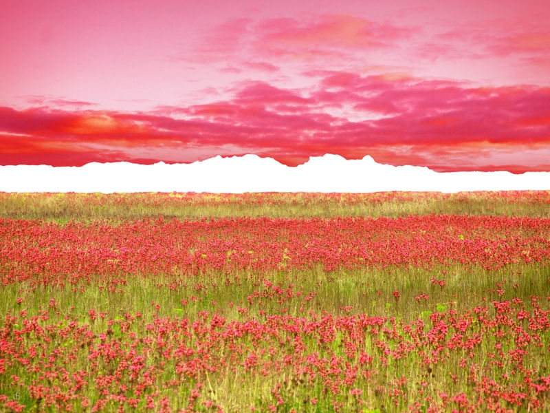 LOST HORIZON 25A