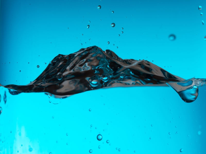 BLUEBERG