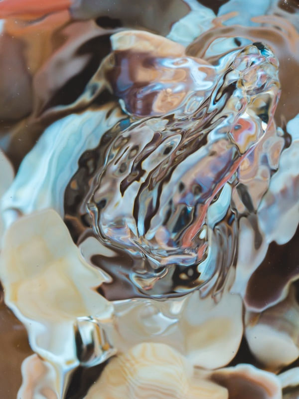 DEEP SEA JEWELS
