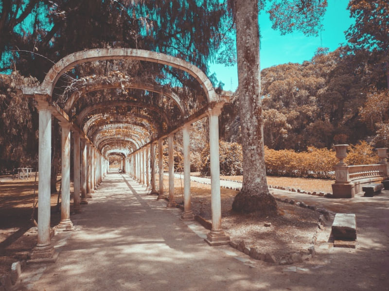 JARDIM BOTÂNICO II - RIO DE JANEIRO