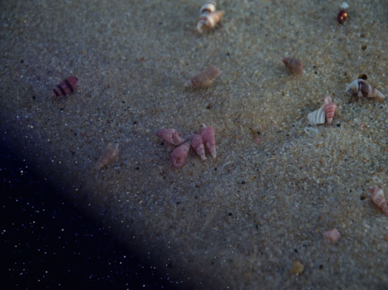 SAND IN SPACE