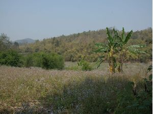 RESPIRA NATUREZA