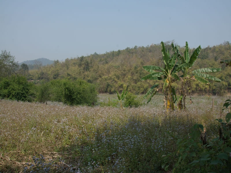 RESPIRA NATUREZA