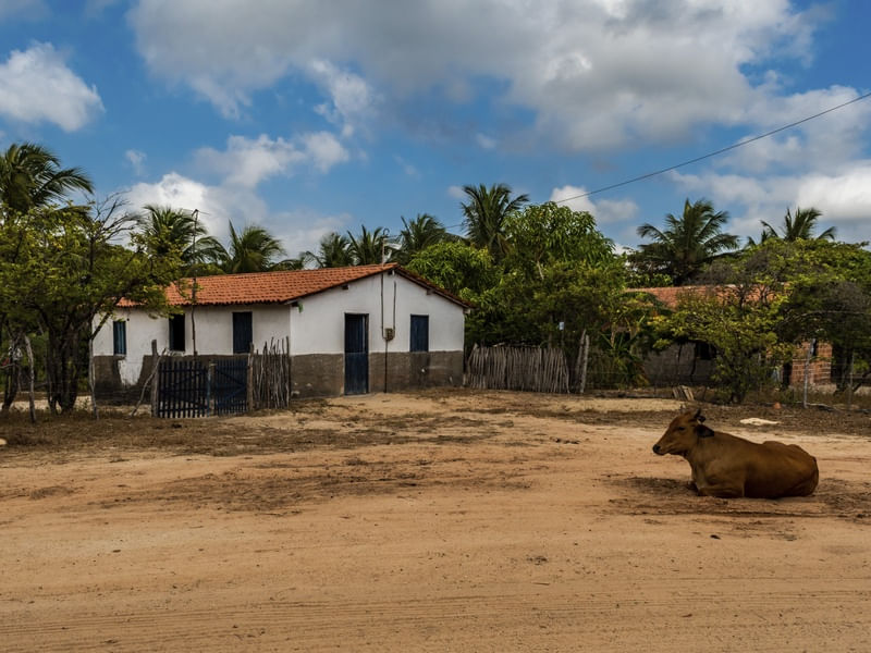 MORADA SERTANEJA_MACÉIO_CE