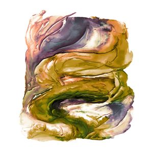 NATURAL PROGRESSION 7