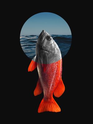 PEIXE FORA D'ÁGUA