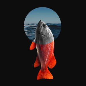 PEIXE FORA D'ÁGUA (Q)