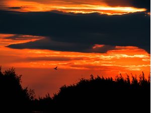FIM DE TARDE - RPL (2)