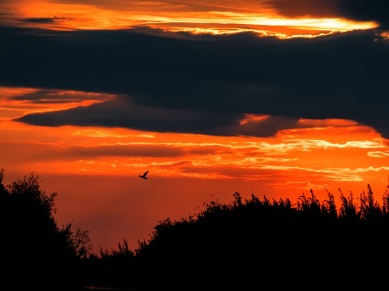 FIM DE TARDE - RPL (2)