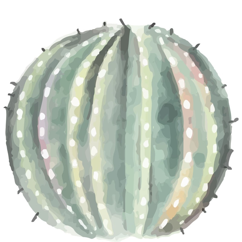 CACTO EM AQUARELA FEITO A MÃO