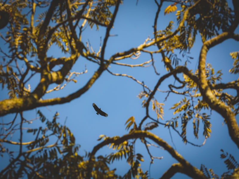 WASTING TIME IN THE SKY