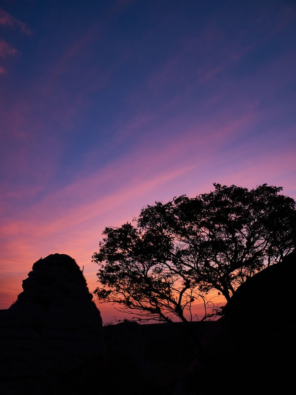 LINDO PÔR DO SOL EM PERNAMBUCO