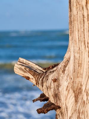 ABSTRATO NA PRAIA