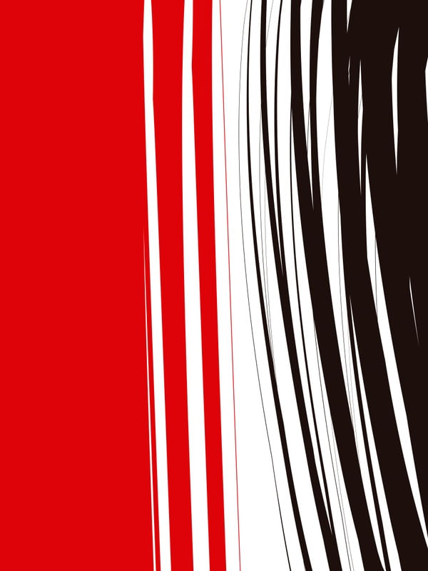 NIHON XXIV
