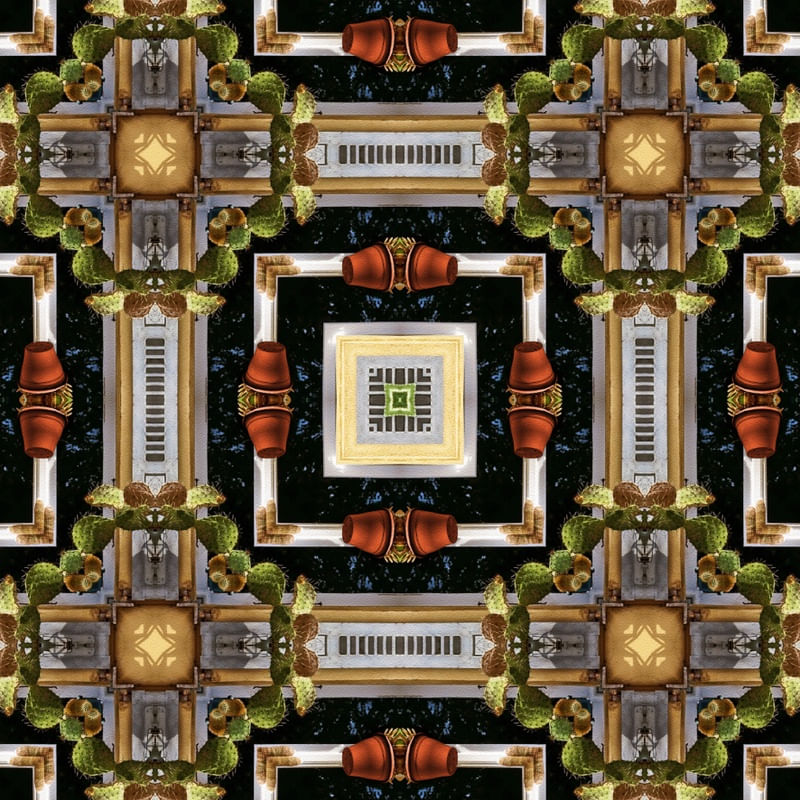 MANDALA DAS PLANTAS