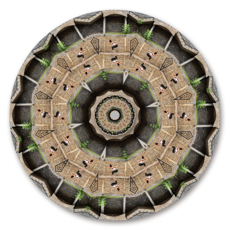 HUMANDALA 7