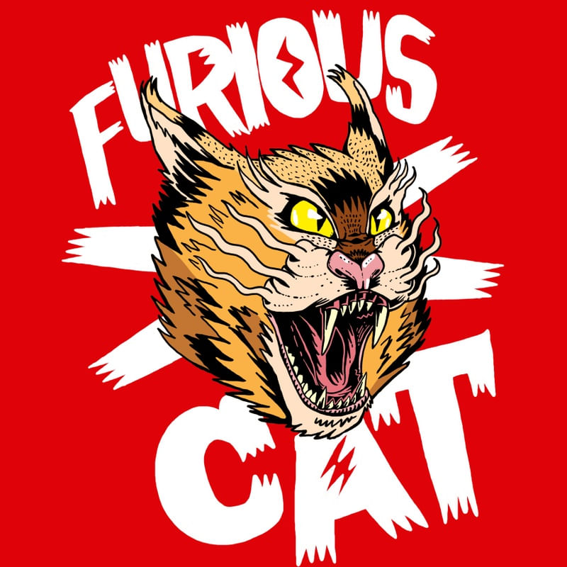 FURIOUS CAT COLOR