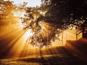NASCER DO SOL EM RONDÔNIA