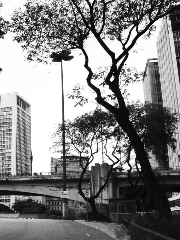VALE DO ANHANGABAU? SP { LADO DIREITO }