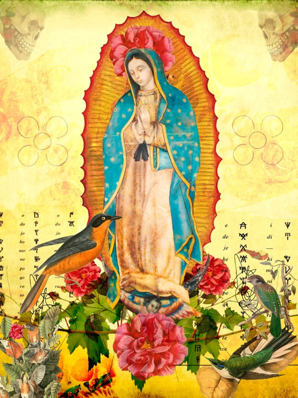 NSA. SRA. GUADALUPE 2019 _ DA SÉRIE SANTOS