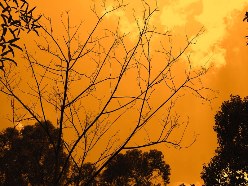 ORANGE SKY II