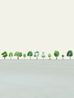 A ROW OF TREES