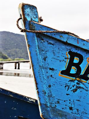 BARCO PROA