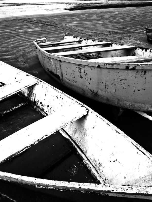 BARCO AMIGOS {PB}