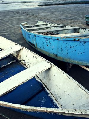 BARCO AMIGOS