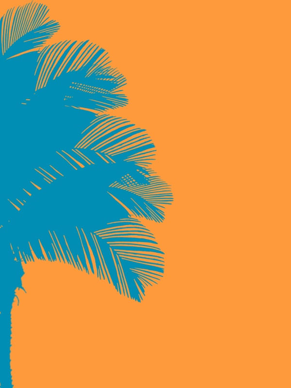 MEIA PALMEIRA LARANJA E AZUL