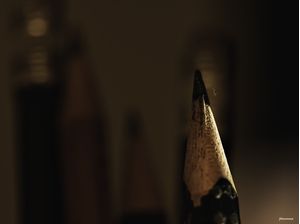 UM CISCO NA PONTA DO LÁPIS