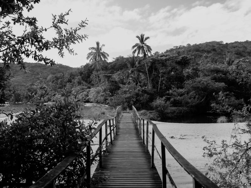 ILHA GRANDE PB