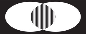 INNER CIRCLE L