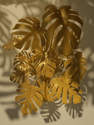 MONSTERA GOLD I