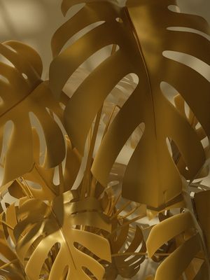 MONSTERA GOLD IV