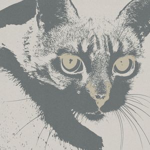 NE-NEN-CAT