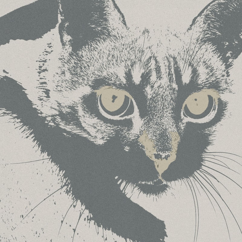 NE-NEN-CAT