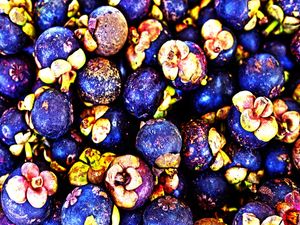 FRUTA É VIDA. VITA MINA