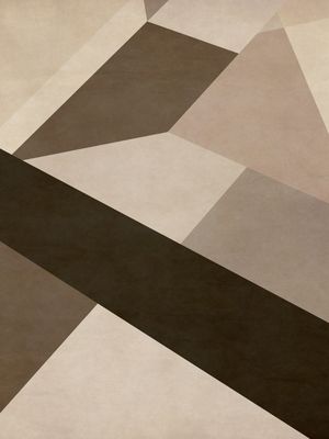 GEOMETRIC ILLUSION 059