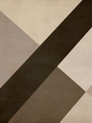 GEOMETRIC ILLUSION 060