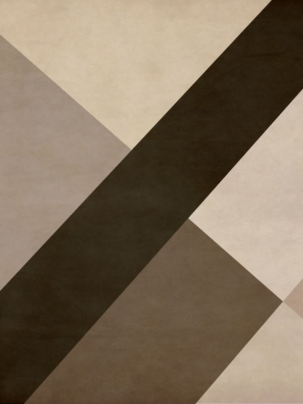 GEOMETRIC ILLUSION 060