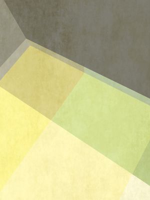 GEOMETRIC ILLUSION 065