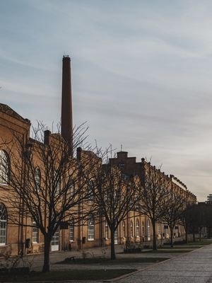 EDIFÍCIO HISTÓRICO DE AVEIRO ENTRE ÁRVORES EM UM DIA ENSOLARADO