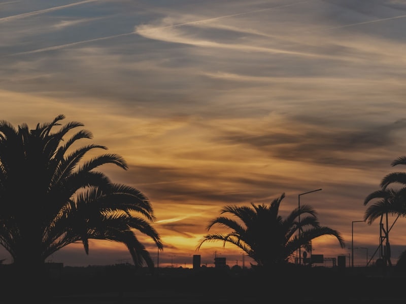 PÔR DO SOL COM COQUEIROS E UM CÉU LARANJA COM NUVENS