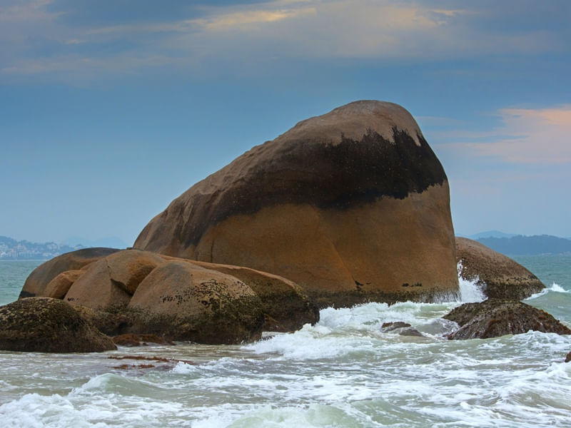 SEA STONE