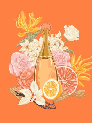 ORANGE FRAGRANCE