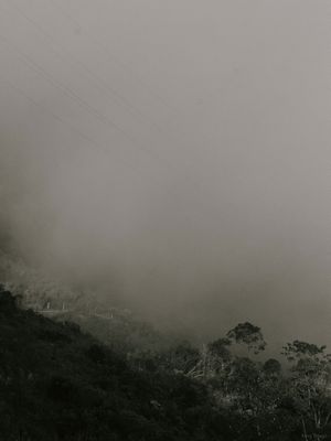 NÉVOAS FLUMINENSES