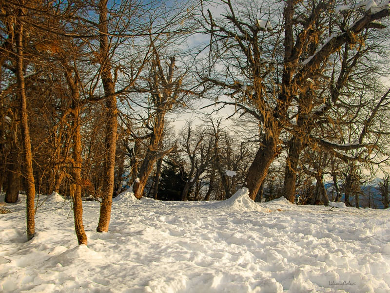 NEVE E SOL